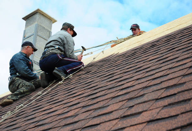 Best Gutter Installation and Roofing  in Stansberry Lake, WA