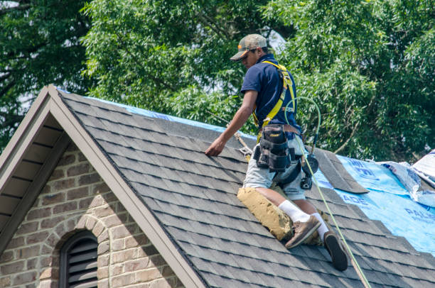 Best Roof Waterproofing Services  in Stansberry Lake, WA